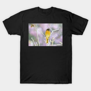 Female Baltimore Oriole T-Shirt